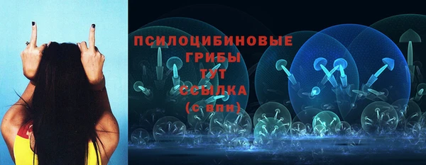 ALPHA PVP Аркадак