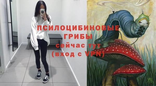 ALPHA-PVP Армянск