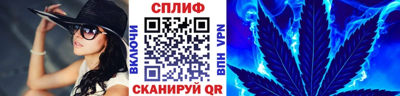Купить где  Можга  МАРИХУАНА планчик 